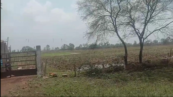  1 Ares Agricultural/Farm Land for Sale in Seepat Road, Bilaspur