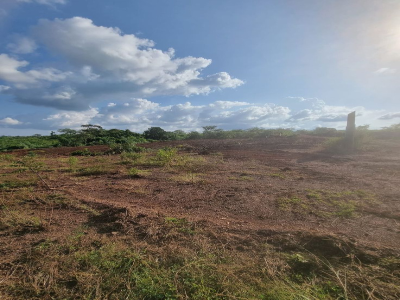  2000 Sq.ft. Residential Plot for Sale in Rajkishore Nagar, Bilaspur