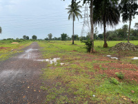  Residential Plot for Sale in Mopka, Bilaspur