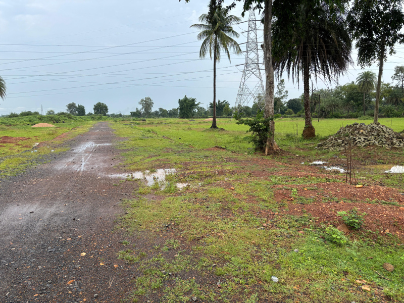  2000 Sq.ft. Residential Plot for Sale in Mopka, Bilaspur