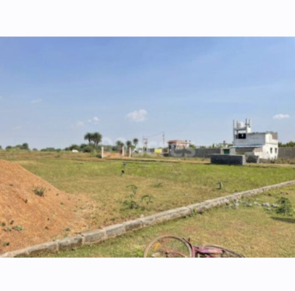  1200 Sq.ft. Residential Plot for Sale in Mopka, Bilaspur