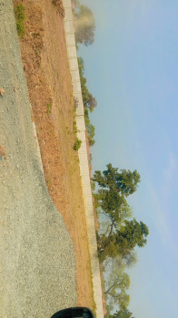 Residential Plot for Sale in Koni, Bilaspur