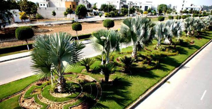  1040 Sq.ft. Residential Plot for Sale in Mopka, Bilaspur