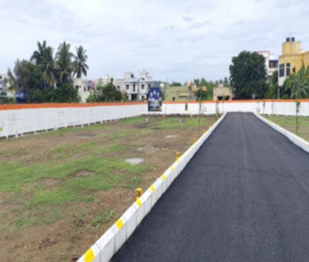  995 Sq.ft. Residential Plot for Sale in Koni, Bilaspur