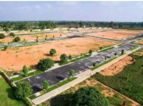  995 Sq.ft. Residential Plot for Sale in Koni, Bilaspur