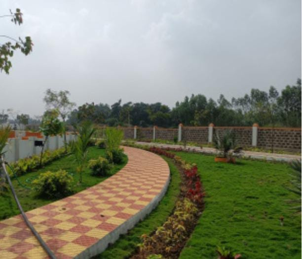  984 Sq.ft. Residential Plot for Sale in Koni, Bilaspur