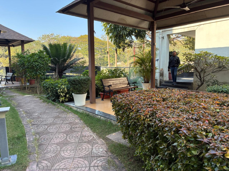  984 Sq.ft. Residential Plot for Sale in Koni, Bilaspur