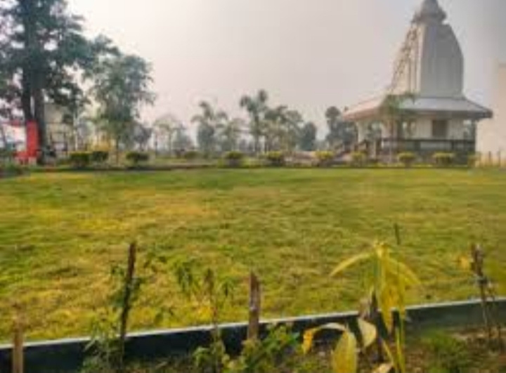  1127 Sq.ft. Residential Plot for Sale in Koni, Bilaspur