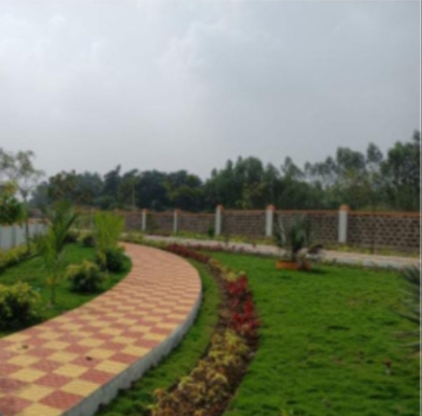  1347 Sq.ft. Residential Plot for Sale in Koni, Bilaspur