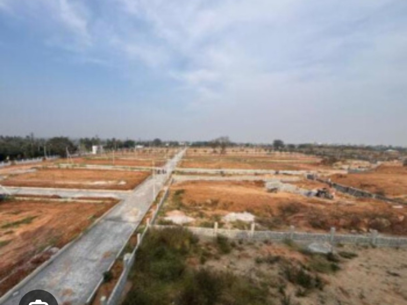  1509 Sq.ft. Residential Plot for Sale in Koni, Bilaspur