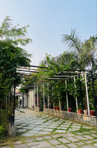 8 BHK 1100 Sq.ft. Farm House for Sale in Kota Bilaspur