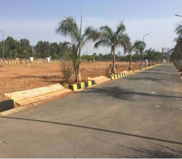  1200 Sq.ft. Residential Plot for Sale in Rajkishore Nagar, Bilaspur