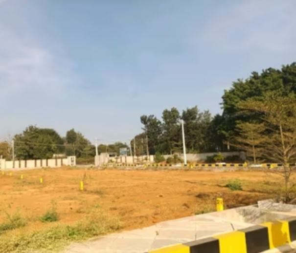  1200 Sq.ft. Residential Plot for Sale in Rajkishore Nagar, Bilaspur