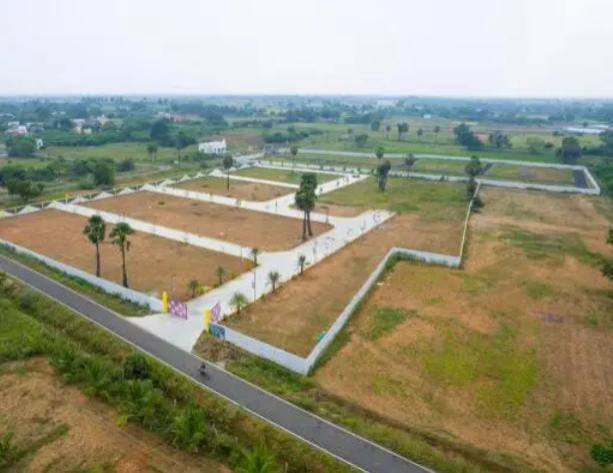  1503 Sq.ft. Residential Plot for Sale in Mopka, Bilaspur