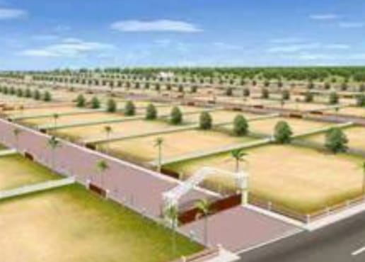  1315 Sq.ft. Residential Plot for Sale in Koni, Bilaspur