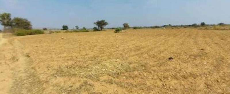  5000 Sq.ft. Residential Plot for Sale in Ratanpur, Bilaspur