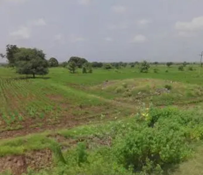  5000 Sq.ft. Residential Plot for Sale in Ratanpur, Bilaspur