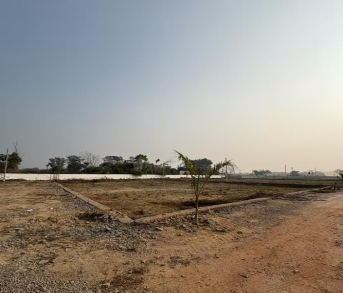  1200 Sq.ft. Residential Plot for Sale in Torwa, Bilaspur
