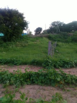  Agricultural Land for Sale in Gubbi, Tumkur