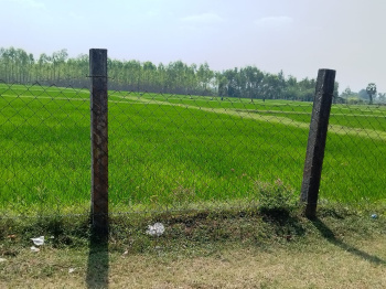  Agricultural Land for Sale in Perubakkam, Chennai