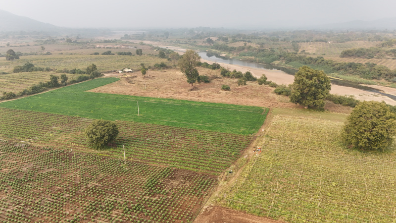  23 Acre Agricultural/Farm Land for Sale in Sausar, Chhindwara
