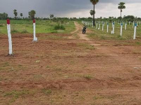  Agricultural Land for Sale in Palaspe Phata, Panvel, Navi Mumbai