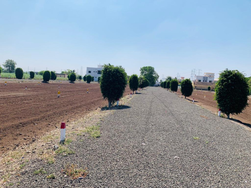  Residential Plot 1000 Sq.ft. for Sale in Shikrapur, Pune