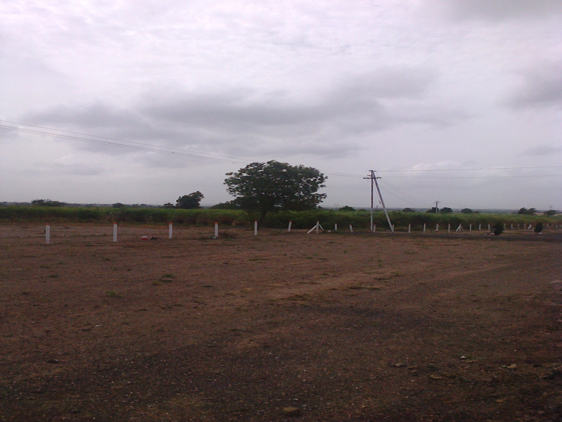  Residential Plot 1000 Sq.ft. for Sale in Shikrapur, Pune