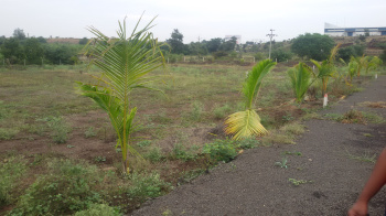  Residential Plot for Sale in Ranjangaon MIDC, Pune