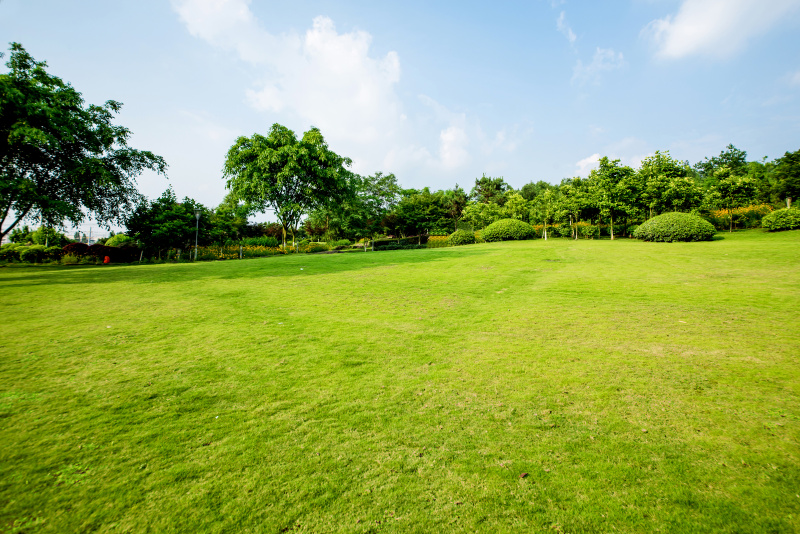  Residential Plot 11000 Sq.ft. for Sale in Karegaon, Pune