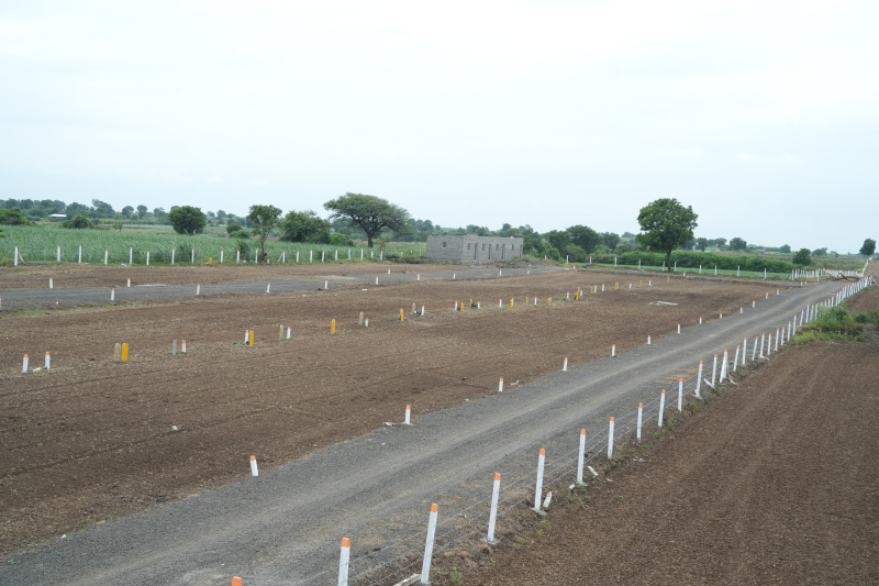  Residential Plot 11000 Sq.ft. for Sale in Karegaon, Pune