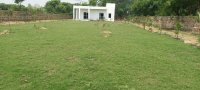 1 BHK Farm House for Sale in Sohna, Gurgaon