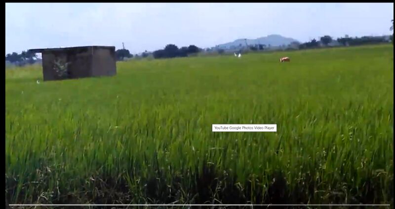  Agricultural Land 40075 Sq.ft. for Sale in Madhurandagam, Chennai