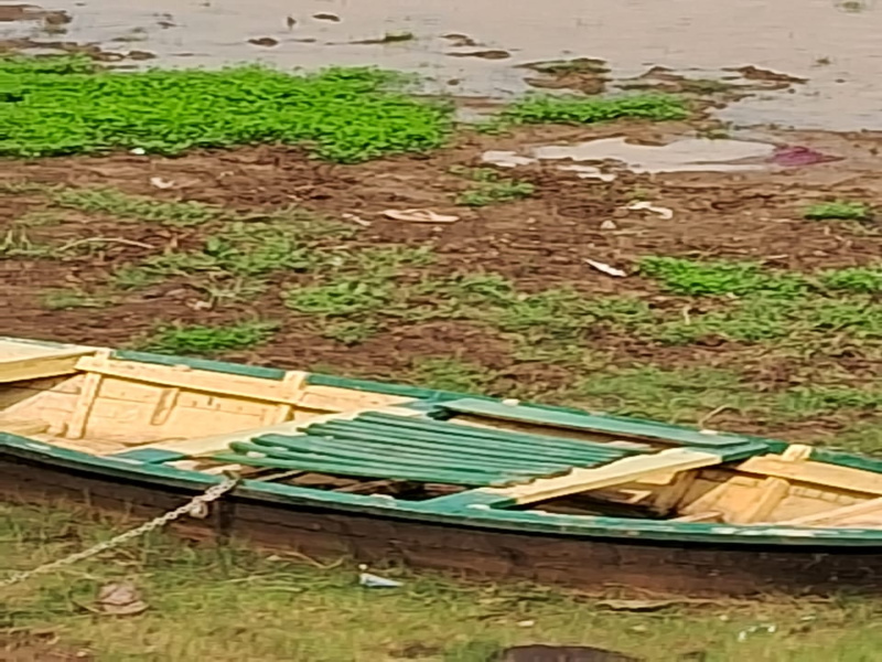 600 Sq.ft. Residential Plot for Sale in Bihta, Patna