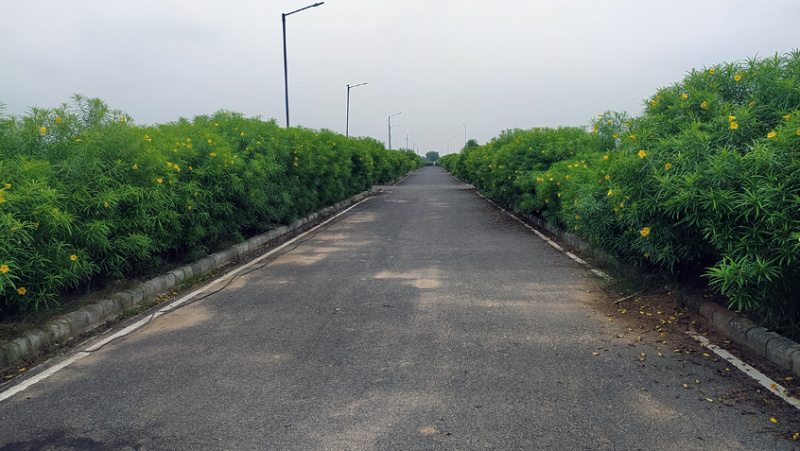  Residential Plot 125 Sq. Yards for Sale in Nai Basti, Rewari