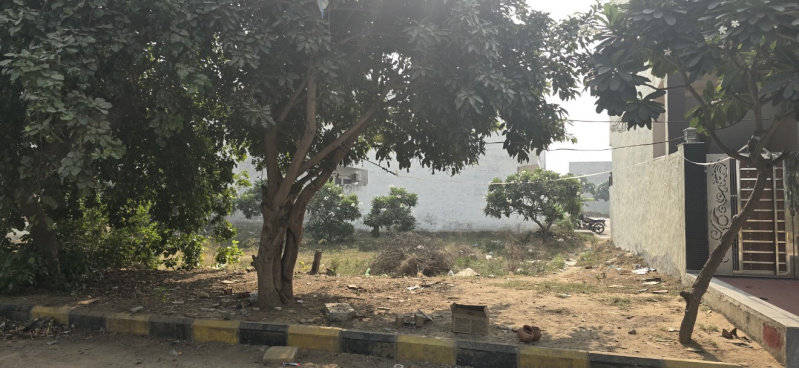  94 Sq. Yards Residential Plot for Sale in Sector 23 Dharuhera