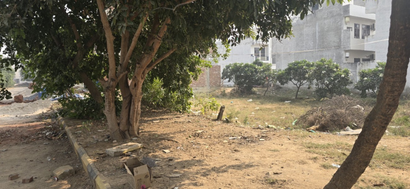 94 Sq. Yards Residential Plot for Sale in Sector 23 Dharuhera