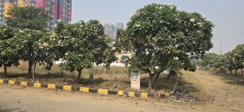 Residential Plot for Sale in Sector 23 Dharuhera