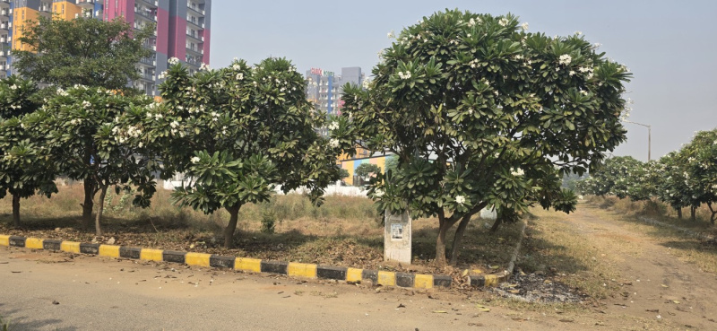  251 Sq. Yards Residential Plot for Sale in Sector 23 Dharuhera