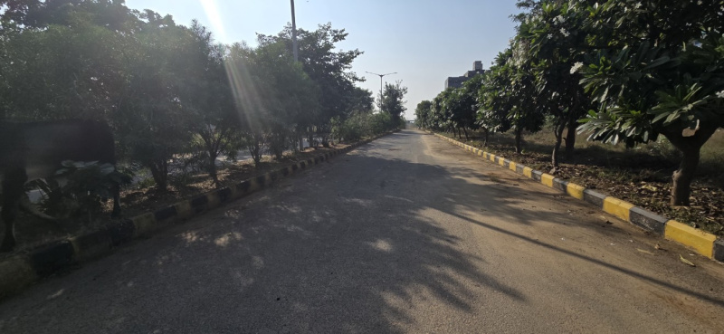  251 Sq. Yards Residential Plot for Sale in Sector 23 Dharuhera