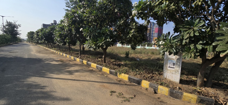  251 Sq. Yards Residential Plot for Sale in Sector 23 Dharuhera