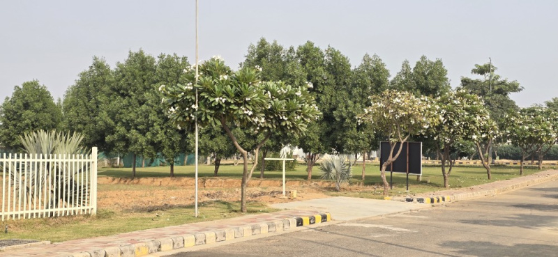  300 Sq. Yards Residential Plot for Sale in Sector 23 Dharuhera
