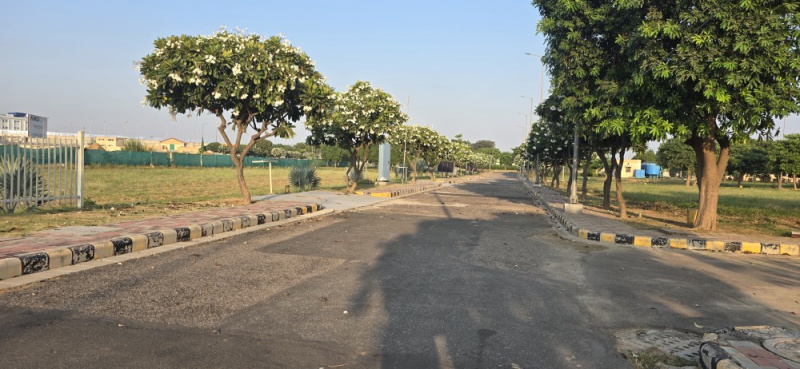  523 Sq. Yards Residential Plot for Sale in Sector 23 Dharuhera
