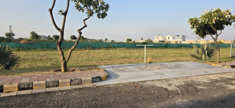  523 Sq. Yards Residential Plot for Sale in Sector 23 Dharuhera