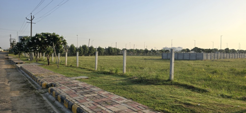  600 Sq. Yards Residential Plot for Sale in Sector 23 Dharuhera