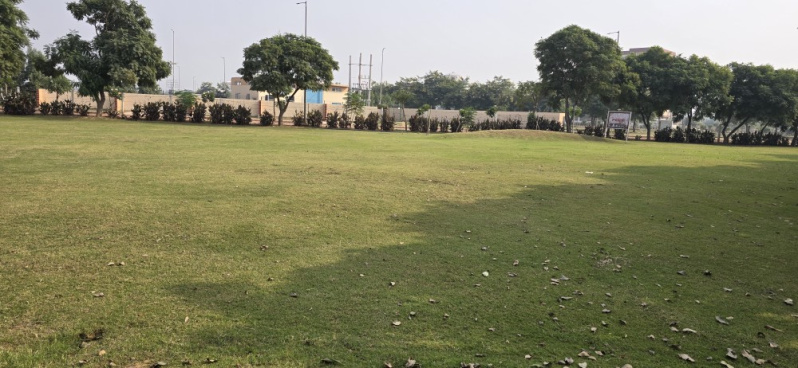  300 Sq. Yards Residential Plot for Sale in Sector 23 Dharuhera