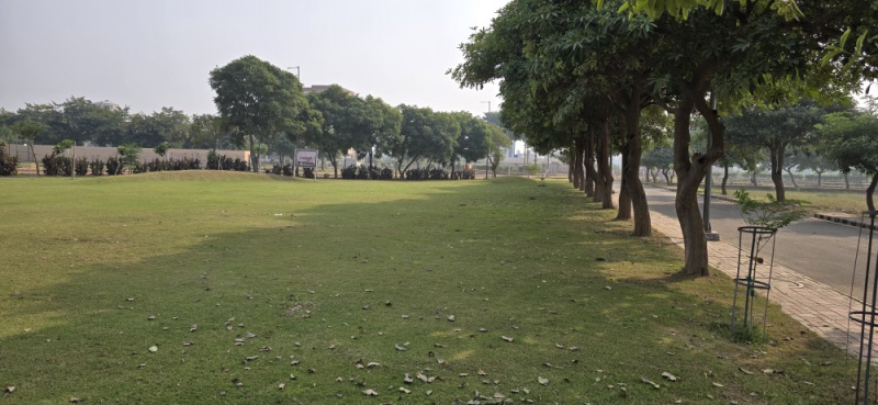  300 Sq. Yards Residential Plot for Sale in Sector 23 Dharuhera