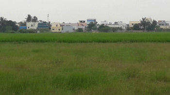  Agricultural Land for Sale in Kodeeswaran Nagar, Tirunelveli
