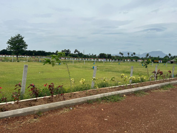  Residential Plot for Sale in Renigunta, Tirupati