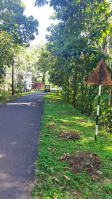 Residential Plot for Sale in Taliparamba, Kannur